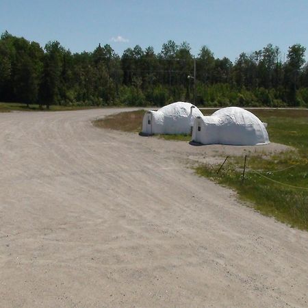 North Adventure Inn Cochrane Εξωτερικό φωτογραφία