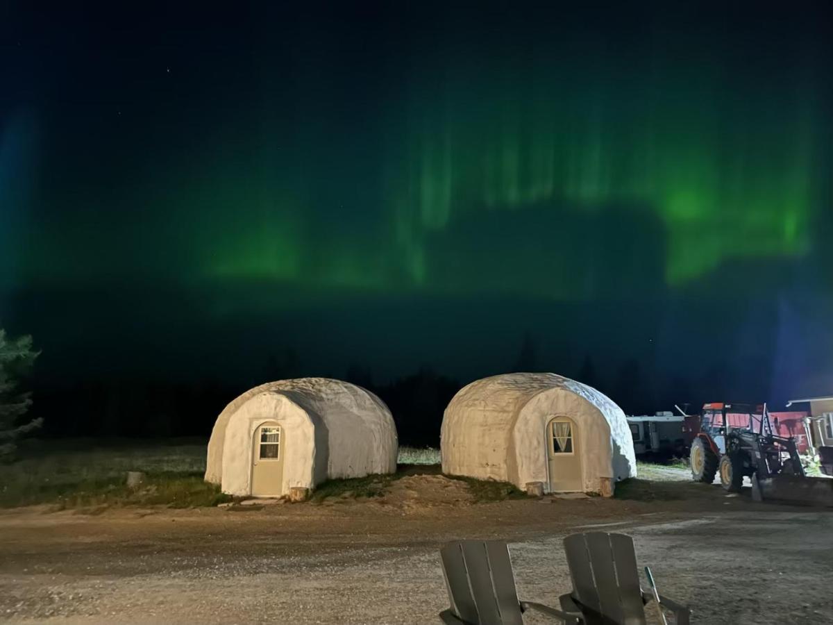 North Adventure Inn Cochrane Εξωτερικό φωτογραφία