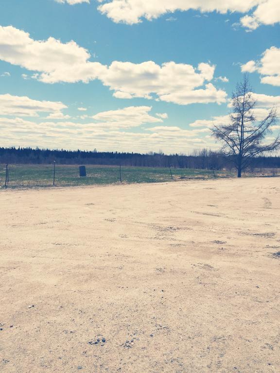 North Adventure Inn Cochrane Εξωτερικό φωτογραφία