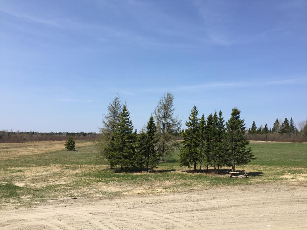 North Adventure Inn Cochrane Εξωτερικό φωτογραφία