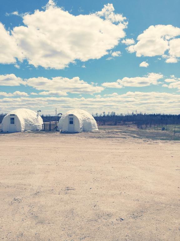 North Adventure Inn Cochrane Δωμάτιο φωτογραφία